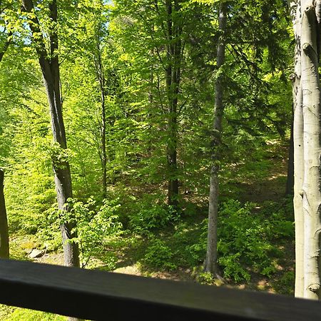 Apartament Z Pieknym Widokiem Na Las Szklarska Poręba Exteriör bild