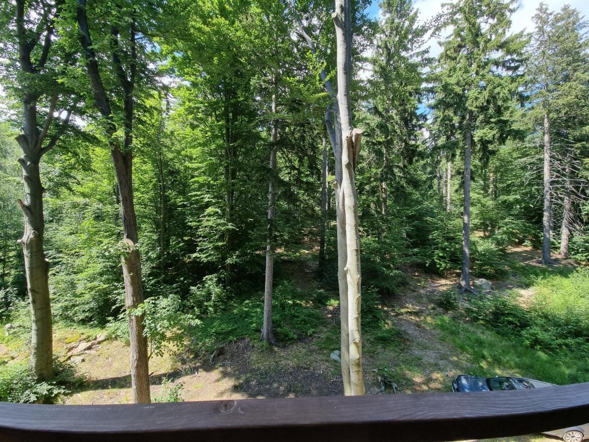 Apartament Z Pieknym Widokiem Na Las Szklarska Poręba Exteriör bild