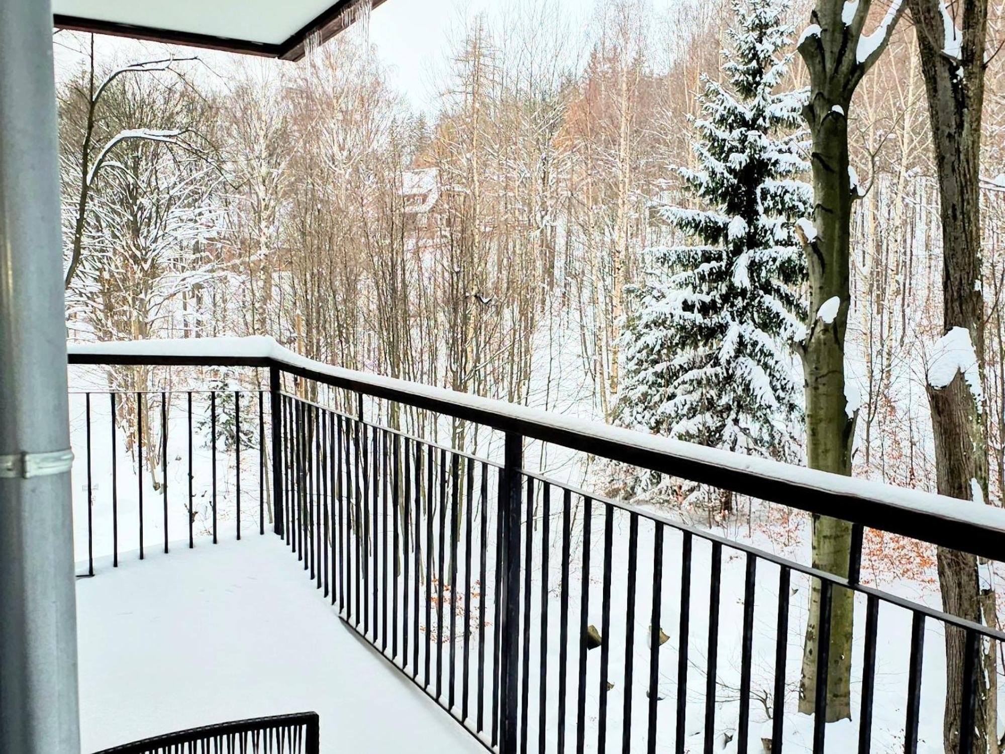 Apartament Z Pieknym Widokiem Na Las Szklarska Poręba Exteriör bild
